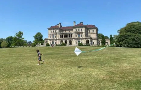 Kites Take Flight