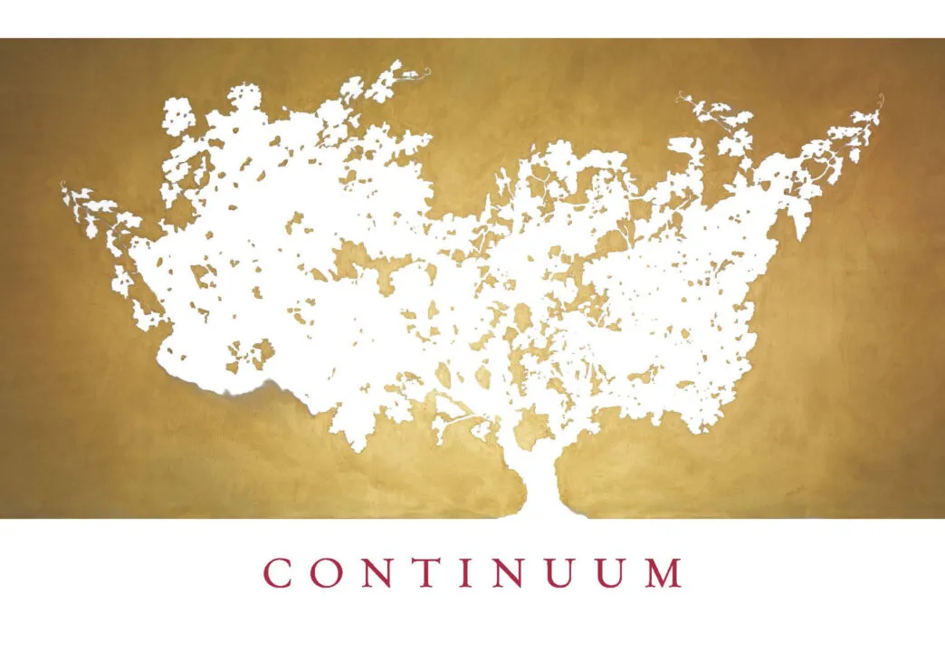 Continuum logo_white added
