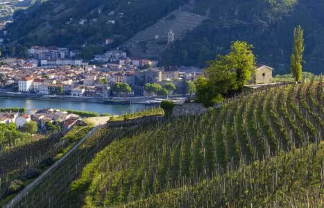 Grand cru vineyard and Chapel of Saint Christopher, Tain l'Hermitage, Rhone-Alpes, France