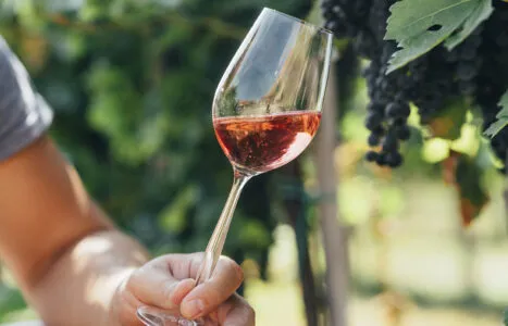 Wine tasting in outdoor winery.