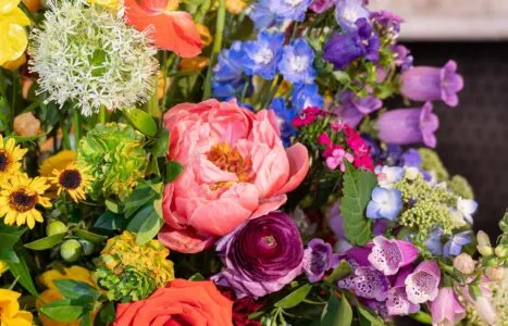 Flower Show273_event cover