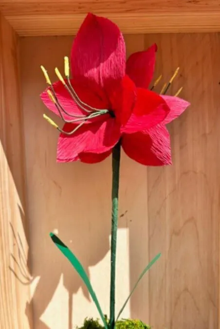 Photo - 4