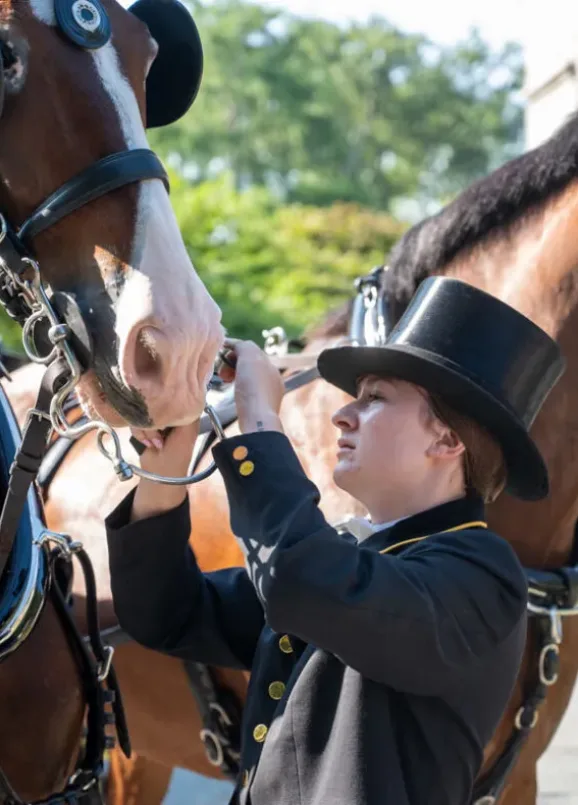 Coaching-AM-287-1156x790-c-center