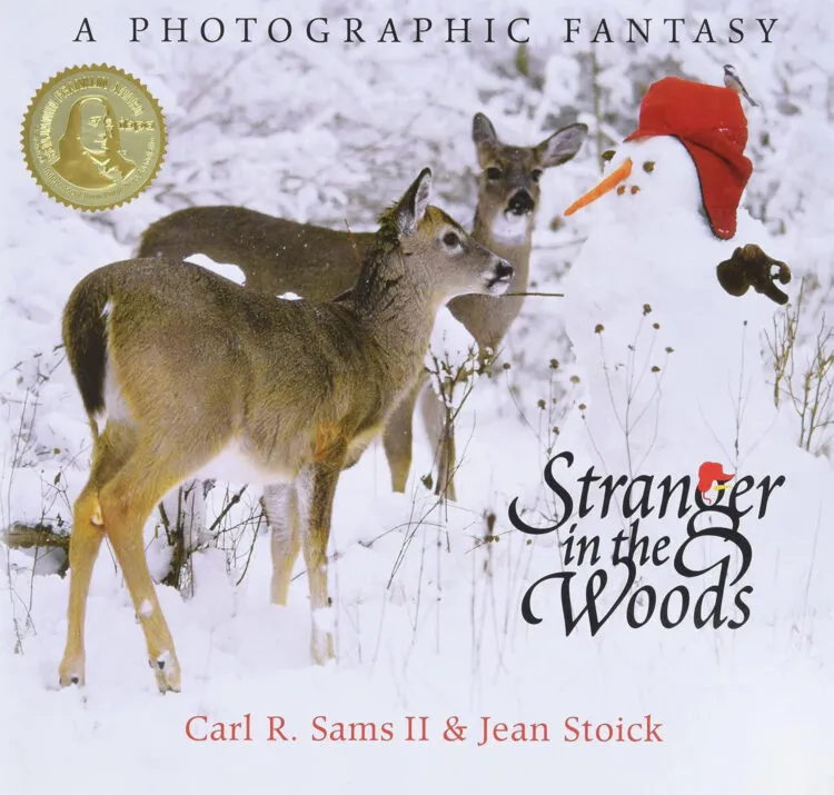 Stranger in The Woods