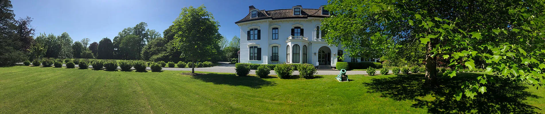 TreeWalkatChepstowHeroImage