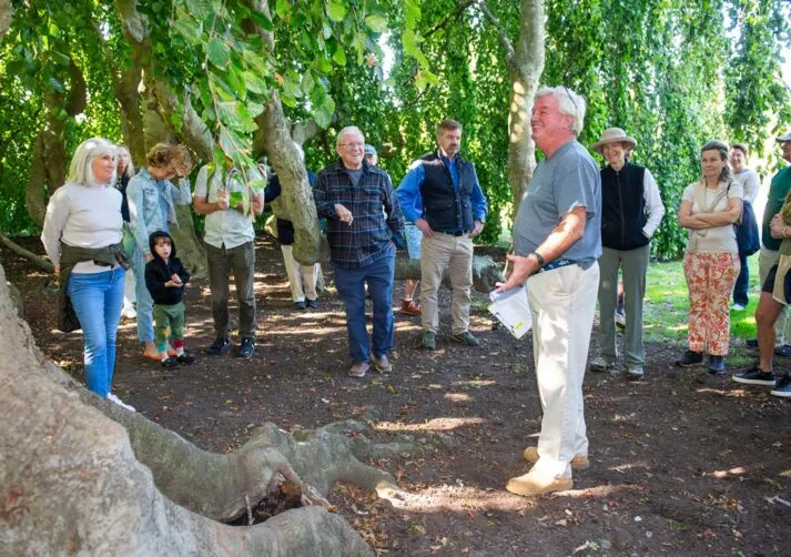 TreewalkatChepstowGallery_2