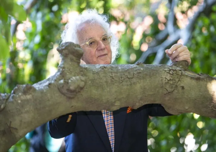 TreewalkatChepstowGallery_4