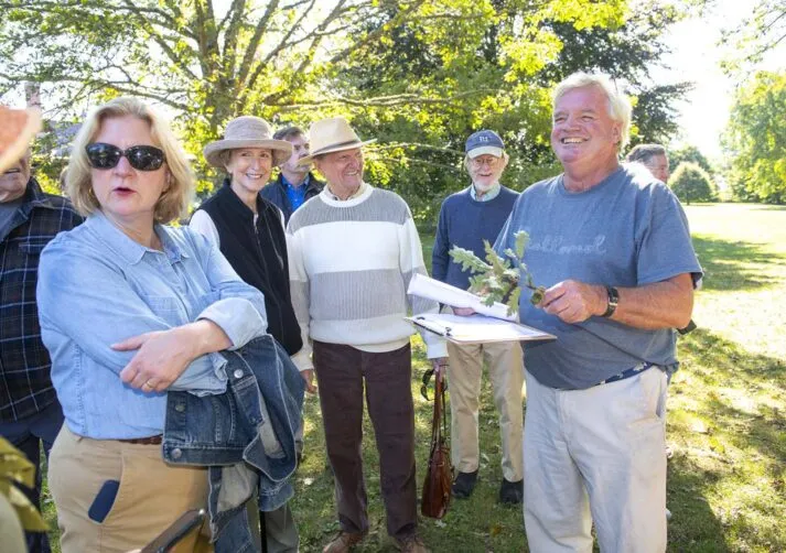 TreewalkatChepstowGallery_5