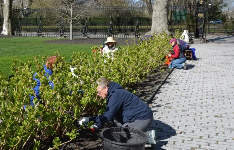 VolunteerOpportunitiesCoverImage1